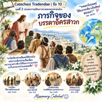 Catechesi Tradendae | ข้อ 10 บทที่ 2 ประสบการณ์อันยาวนานของพระศาสนจักร